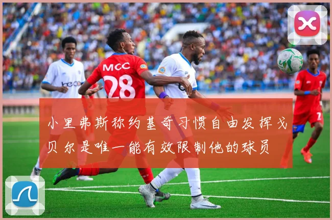 小里弗斯称约基奇习惯自由发挥戈贝尔是唯一能有效限制他的球员