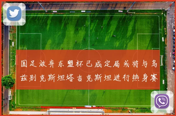 国足放弃东盟杯已成定局或将与乌兹别克斯坦塔吉克斯坦进行热身赛