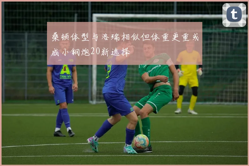 桑顿体型与洛瑞相似但体重更重或成小钢炮20新选择
